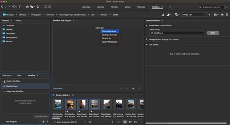 Domine o Adobe Bridge: Guia Completo para Iniciantes