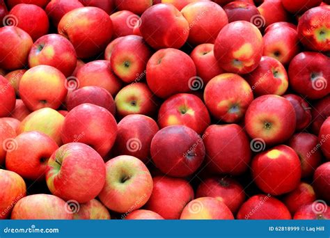 Bushel Of Apples At Orchard Stock Photography | CartoonDealer.com #78778070