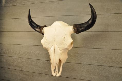 Prairie Winds – LONGHORN CUSTOM SKULLS