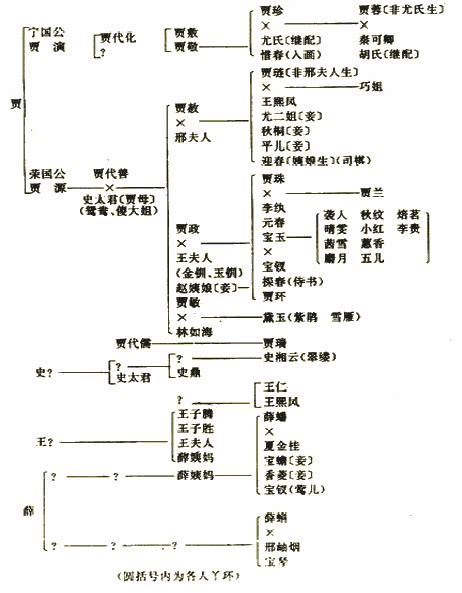 Image result for 红楼梦 人物关系图