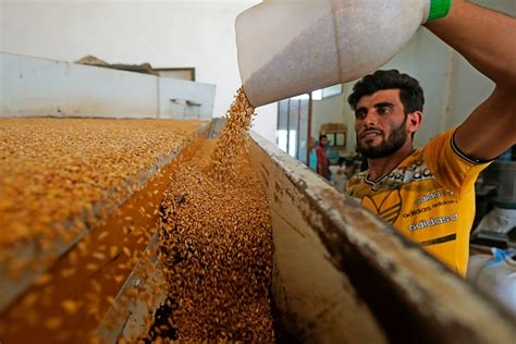 Lebanon and Syria scramble to secure food after Ukraine war