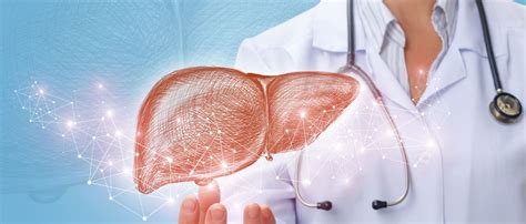 Management der Abstoßung nach Lebertransplantation – die Kunst des ...