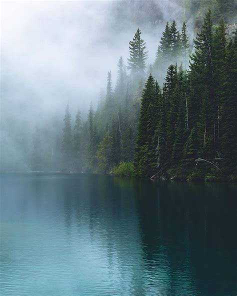 The Great Planet (@thegreatplanet) • Instagram photos and videos