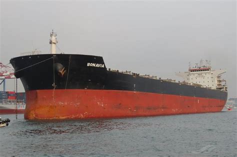 ARAUCANO, Bulk Carrier - Details and current position - IMO 9426025 ...