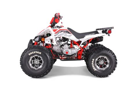 Tao Motor 125 Cheetah Platinum ATV