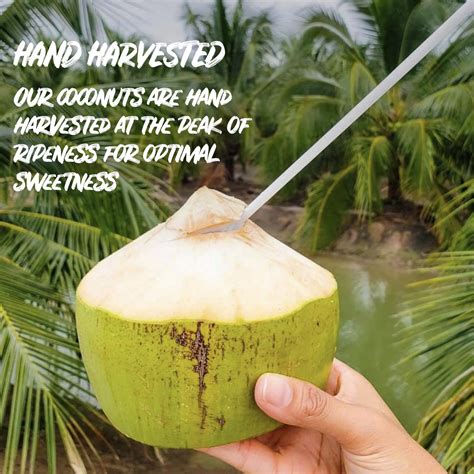 Zico Coconut Water Chocolate