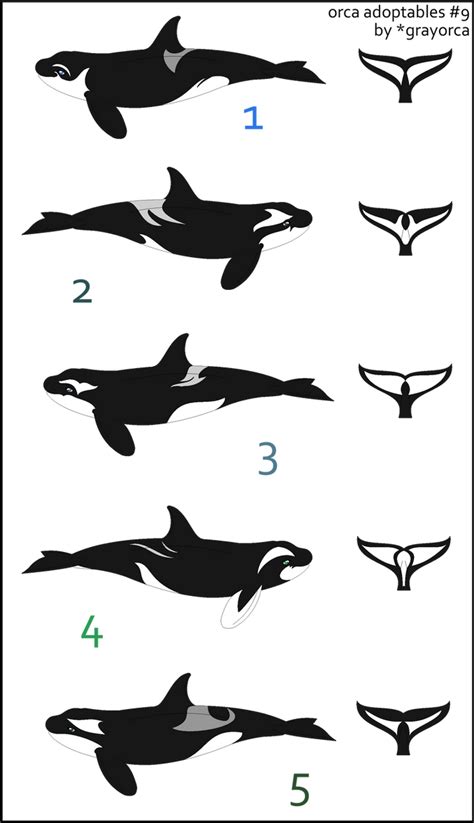 Image result for Dolphin Partner Optimization Algorithm