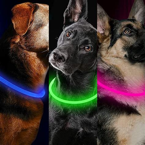 Keep Your Dog Safe With an LED Collar That Has 18,500+ 5-Star Reviews ...