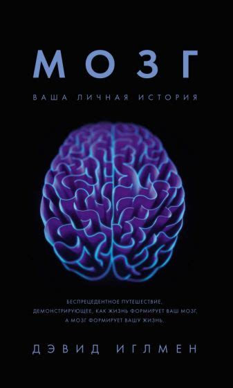 Книга: "Мозг. Ваша личная история" - Дэвид Иглмен. Купить книгу, читать ...