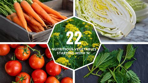 22 Nutritious Vegetables Starting With 'N' - Mothers Always Right