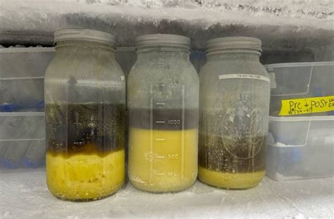 BHO Extraction Process 的图像结果