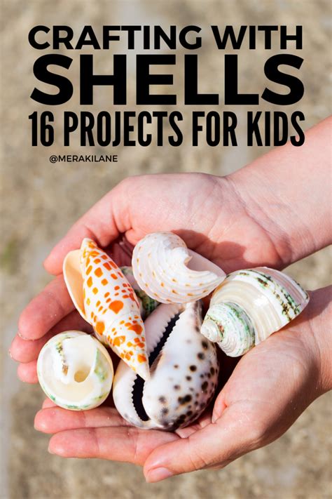 Image result for Shells Crafts Activity