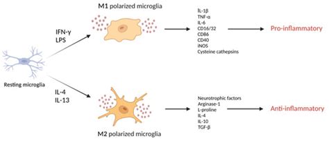 Biomolecules | Special Issue : Molecular and Cellular Mechanisms of ...