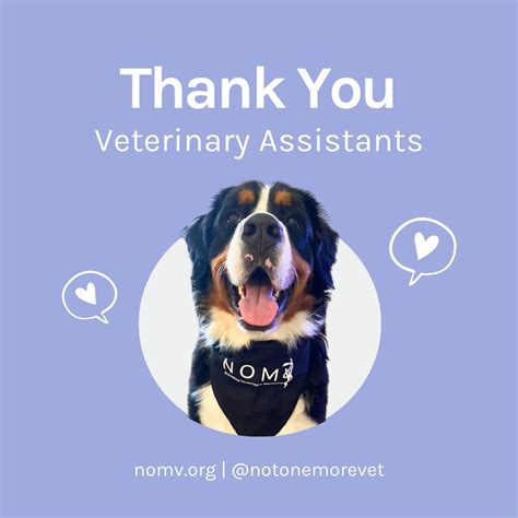 #nomv #notonemorevet #veterinaryassistantappreciationweek # ...