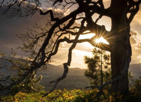 Equinox Dance - Rebirth and Renewal , Laughton Lodge, Common Lane ...