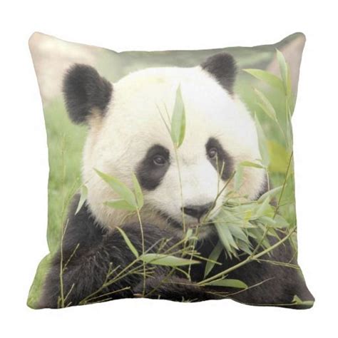 Image result for Giant Python Pillow