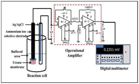 Advances in Enzyme-Based Biosensors for Pesticide Detection
