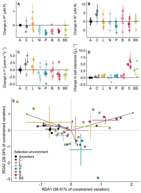 Image result for Resource Competition