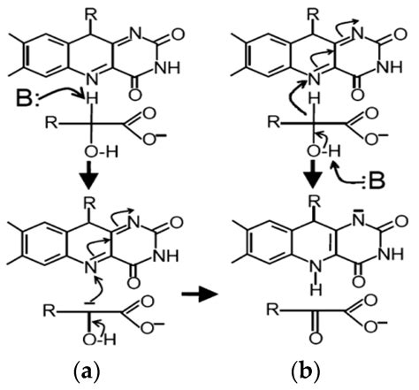 Peroxidase-like Nanoparticles of Noble Metals Stimulate Increasing ...