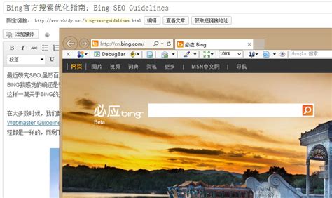 Bing官方搜索优化指南：Bing SEO Guidelines – Whidy Blog