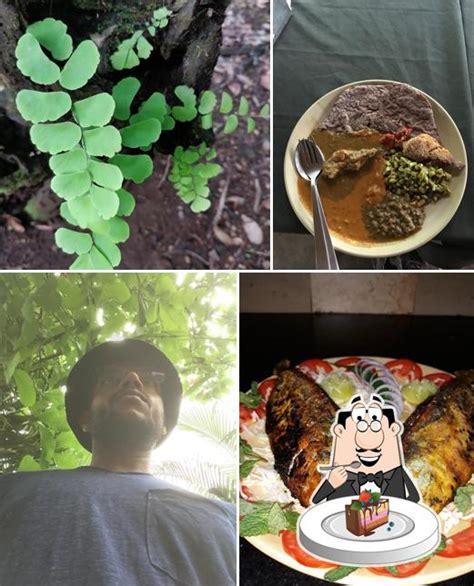 Nature's Nest, Surla - Restaurant menu, prices and reviews