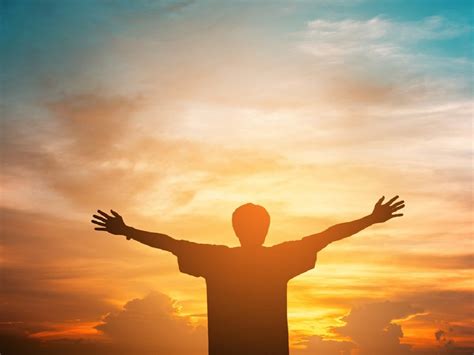 पक्षियों के साथ रहने से होगा दिमागी सेहत को फायदा - being around birds ...