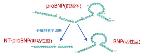 Image result for Source Destination Data Map