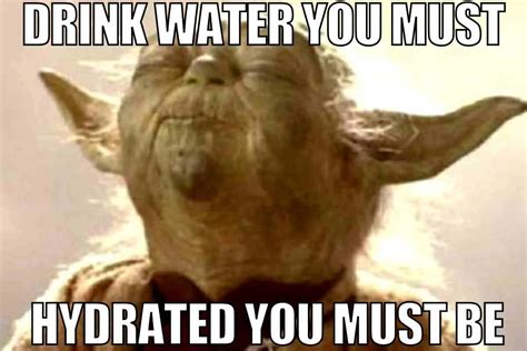 50 Hilarious Drinking Memes For Your Enjoyment