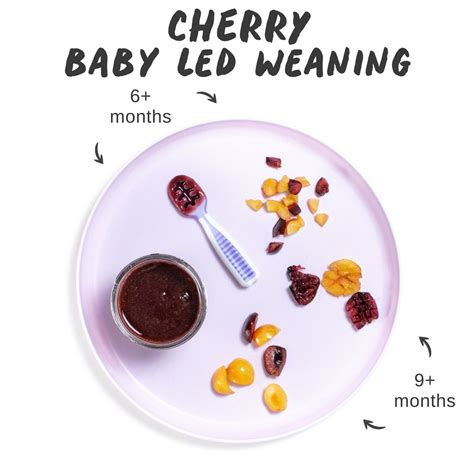 Can Babies Eat Cherries? - Motherhood’s Bliss
