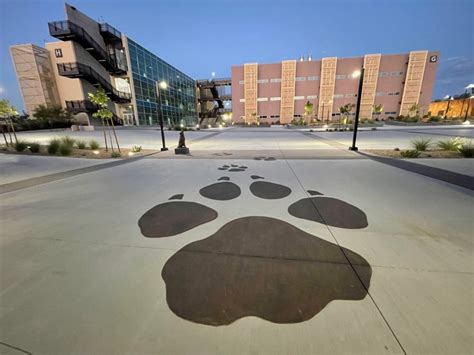 Image result for CSN Students