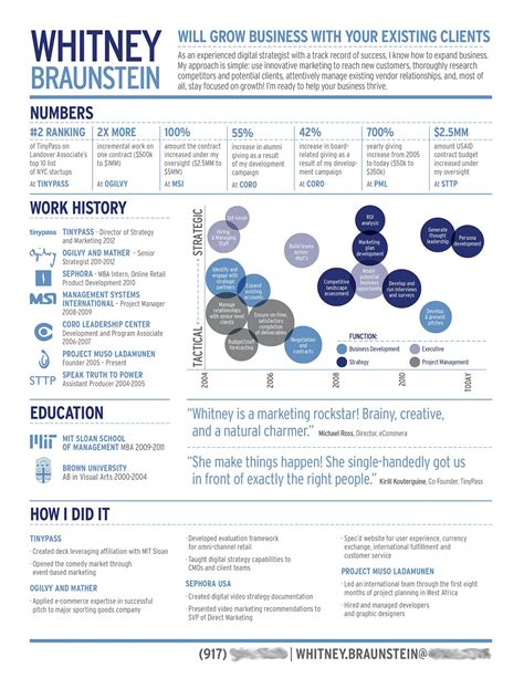 Infographic Resume Marketing