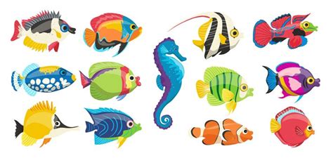 Different kind colorful sea fish tropical water inhabitant aquarium ...
