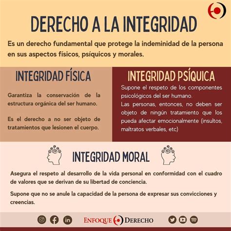 Derecho a la Integridad en 2025 | Integridad fisica, Temas de ...