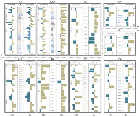 DELAY OF GERMINATION 1, the Master Regulator of Seed Dormancy ...