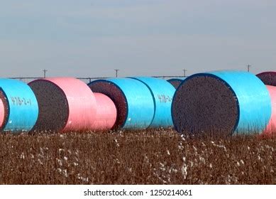 Image result for Loading Cotton Modules