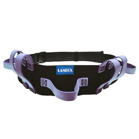 Buy LAMBOX Gait Belt Transfer Walking Belt with Multi Handles- Walking ...