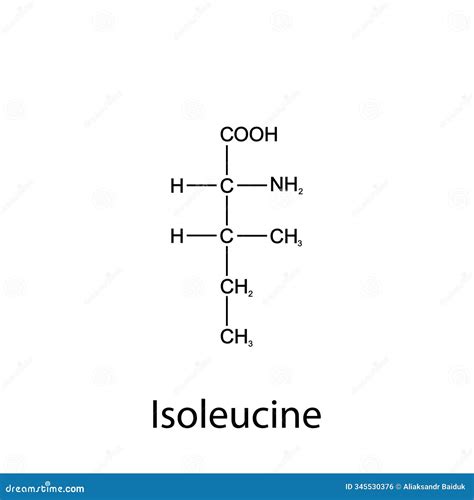 Isoleucine Lewis Structure D And L Notation For Sugars – Master