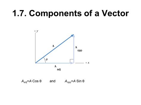 Vector Components 的图像结果