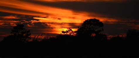 Download wallpaper 2560x1080 sunset, trees, silhouettes, dark dual wide ...