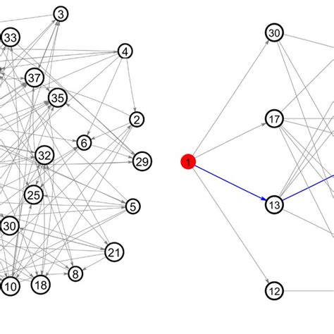 Complex Network 的图像结果