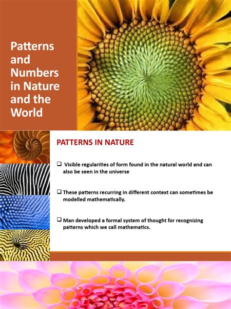 Image result for Understanding Patterns
