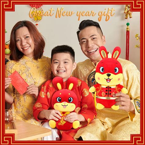Buy Wettarn 2 Pcs 11 Inch 2023 Chinese New Year of The Rabbit Stuffed ...
