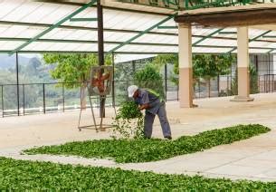 Latest Updates from the Food Processing Sector in India