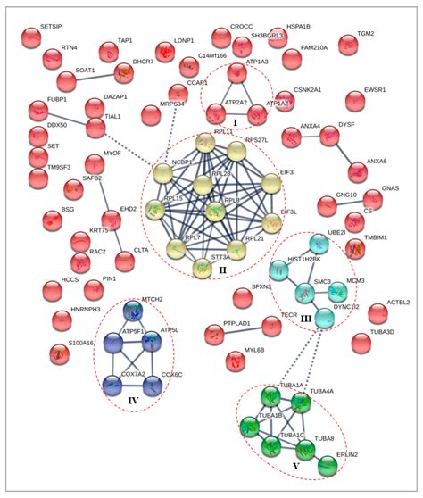 Advancing the Role of Gamma-Tocotrienol as Proteasomes Inhibitor: A ...
