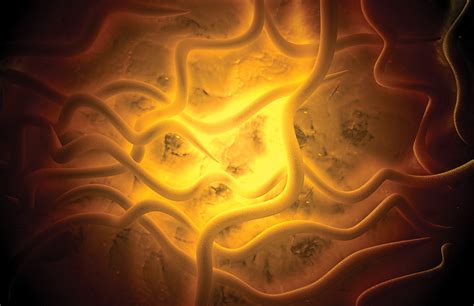 Image result for Alien Organisms