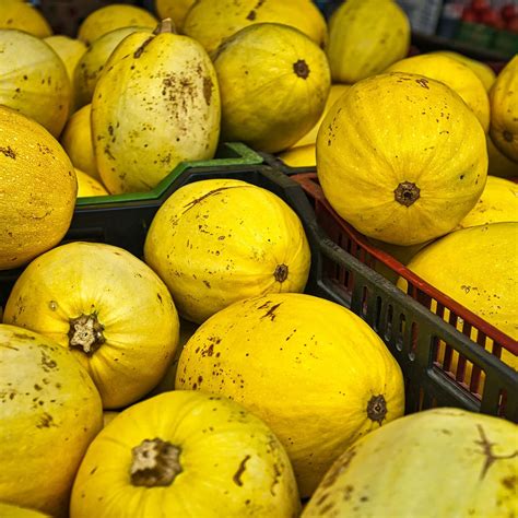 What Is Spaghetti Squash, And How Can It Help You Lose Weight? - Healthier Steps