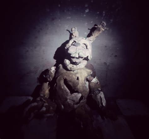 Image result for Spring Trap LEGO Tutorial