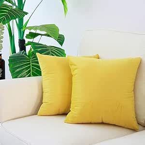 Buy Amazon Brand - Umi Velvet Decorative Cushion Cover 18x18 Inch - Set ...