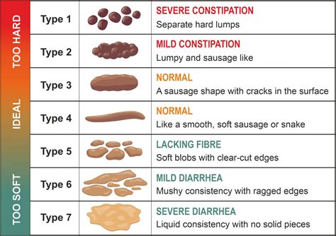 Stool Blood Chart at Aidan Zichy-woinarski blog