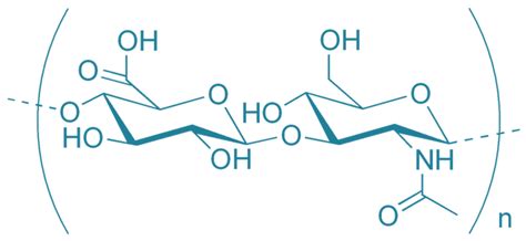 Endogenously-Produced Hyaluronan and Its Potential to Regulate the ...